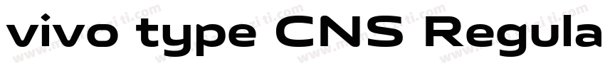 vivo type CNS Regular字体转换